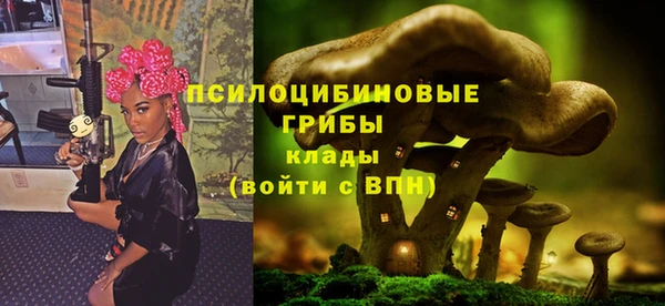 соль ск Аркадак