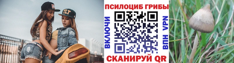 Галлюциногенные грибы Psilocybine cubensis  что такое наркотик  Ивантеевка 