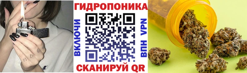 Марихуана Amnesia продажа наркотиков Ивантеевка